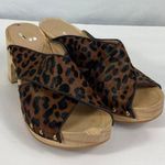 Paige Jules Genuine Calf Hair Clog Size 7.5 Photo 0