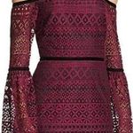 Likely  Purple Sheer Eyelet Lace Panel Over Black Velvet Trim Mini Dress Size 4 Photo 0