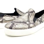 Cole Haan  Grand Series Womens 10 Snakeskin Print Sneaker‎ Black Gray Slip On Photo 0