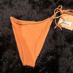 Stone Fox Swim  Bottom Photo 0