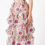 Endless Rose Velvet Embroidered Tiered Midi Dress Fairytale 3D Floral Blush Pink Photo 0