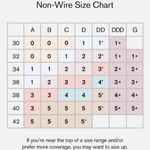 Negative Underwear Sieve Non Photo 3