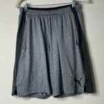Puma Grey Athletic Shorts Medium Photo 0