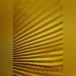 ALC Frank A.L.C Reagan Satin Pleated Midi Dress, size 2, $595 Photo 10