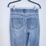 Knox Rose Boho Skinny Jeans with Multicolor Embroidered Stripes Size 2 Photo 7