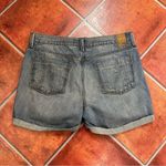 Pistola  x Revolve Distressed Shorts Photo 5