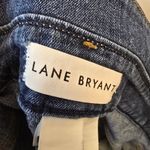Lane Bryant {24} Mid Rise Girlfriend Jean Shorts Stretchy Denim Photo 7