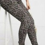 Spanx Jean-ish Ankle Leggings Skinny Jeans Snakeskin Animal Print Size XL Photo 0