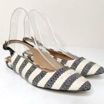 Splendid  Blue White Striped Pointed Canvas Flats Photo 0