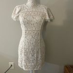 Endless Rose  Lace Open Back Dress Photo 1