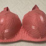 Bebe Sz 38DD Pink Lace Lined Wireless Bra Photo 4