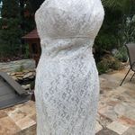 David's Bridal Glina David’s bridal floral lace beaded strapless wedding dress style s8551 sz 2 Photo 1