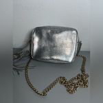 Victoria's Secret Victoria’s Secret Silver Metallic Snakeskin Embossed Chain Crossbody Bag Fringe Photo 1