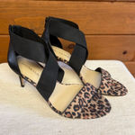 Enzo Angiolini  Aydria dress sandal black /leopard print Sz 7.5 NWOB Photo 0