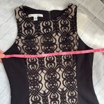 Maggy London  Bodycon Black and Tan Lace Midi Dress Photo 4
