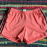 Adidas Pink Athletic Shorts Medium Photo 0