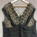 Dress Barn 18 W black dress with black lace bodice over nude under lining Photo 4