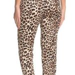 Laundry by Shelli Segal  Photo 1