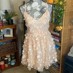 Lulus Feeling Flirty Blush Pink Floral Applique Mini Skater Dress Photo 2