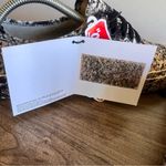 Vans Authentic MoMA Jackson Pollock One: November 30 1950 Size 6.5 or 8 #B1491A Photo 6