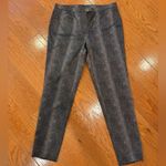 Doncaster Collection Metallic Textured Slim Ankle Pants – Size 10 Photo 0