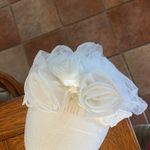 Elegant Cream Lace & Roses Bridal Veil White Photo 5