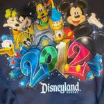 Hanes 2012 vintage Disney crew neck Photo 1