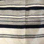 Loft Textured Blue White Stripe Skirt Size 16T New NWT Photo 3