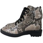 Linea Paolo Moto Boot‎ 5.5 Snakeskin Print Lace Up Ankle Boots Combat Booties Gray Photo 3