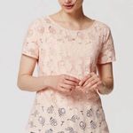 Loft S Women's Peachy Pink Lace Peplum Back Embroidered Short Sleeve Blouse NWT Photo 1