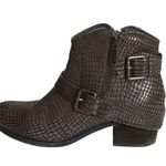 Donald Pliner   Women Moto Boot Sz. 10M EUC Dalis Animal skin Ankle boot Boho Photo 0