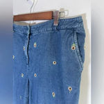 Briggs New York Briggs VINTAGE Embroidered blue Sunflowers cropped/capri jean pants 16 90s 0075 Photo 3