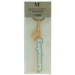 Modern Expressions Keychain "Capricorn" Aqua & Gold 1 Count Metal 738565 Zodiac Green Photo 1