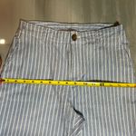 J.Crew Tan and Blue Striped Chinos Photo 5