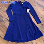 Velvet Torch New NWT  size l large sweater dress Nordstrom Photo 0