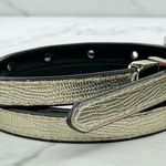 EXPRESS Womens Black Metallic Skinny Reversible Belt ✨ Photo 6