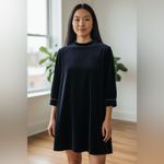 Storets  Velvet Black Accent Dress Photo 2