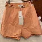 Joie NWT  Farrow Linen Shorts Photo 10