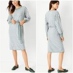 Ann Taylor NWT  Striped Belted Sweater Midi Dress Seafoam/White XXL Long Sleeve Photo 1