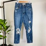 Abercrombie & Fitch  High Rise Curve Love Mom Jean Size 0 Short Photo 2