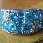 Natural Blue Apatite Sterling Silver Turtle Ring Size 5 Photo 0