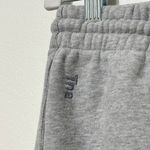 Aritzia  TNA Boyfriend Cozy Fleece Jogger Sweatpants Size Large Gray Photo 4