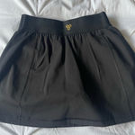 Aritzia  skirt Photo 0