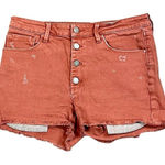Treasure & Bond  Distressed Cutoff Rust Shorts 31 Photo 0