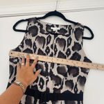 PAULE KA 38 (US 6) Animal Print Belted Lined Dress Designer Leopard Grosgrain Brown Photo 10