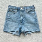 Aritzia  Denim Forum Shorts Photo 0