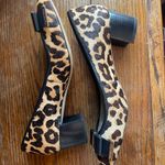 Michael Kors NWOB  Leopard Print Heel w/ Black Leather Bow & Gold Detail Size 8.5 Photo 3