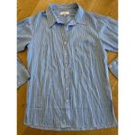 L'Academie  Stripe Button Down Shirt in Blue & White Photo 1