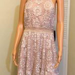 City Triangles Juniors size 15 blush Pink & Ivory lace halter dress Formal NWT Photo 2