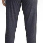 Lole LOLË Women's Gray Relaxed Fit Super Soft Joggers Women’s Size Small NEW Photo 1